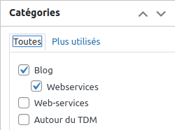 catégories blog/Webservices
